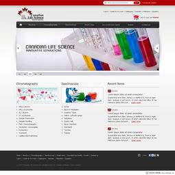 加拿大WebDesignerPS網頁設計作品集（四） 創新、簡約與用戶體驗的完美融合